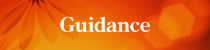 Guidance Guidance